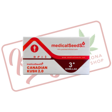 Canadian Kush 2.0 - Medical Seeds