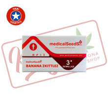 Banana Zkittlez - Medical Seeds