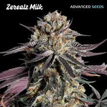 Zerealz Milk - Advanced Seeds