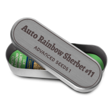 Auto Rainbow Sherbet 11 - Advanced Seeds