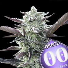 Oreoz - 00 Seeds