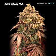 Auto Zerealz Milk - Advanced Seeds