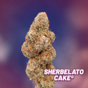 Sherbelato Cake (Limited Edition) - Dutch Passion