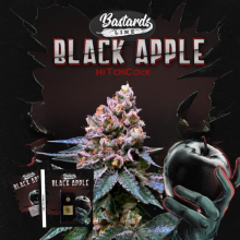 Black Apple Hitchcock - TH Seeds
