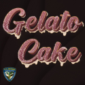 Gelato Cake - TH Seeds