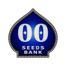 00 Kush fem - 00 Seeds - Renovación de Stock