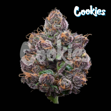 Candy Candy - Cookies Seed Bank