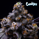 Hollywood - Cookies Seed Bank