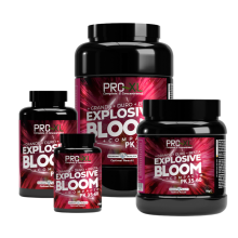 Explosive Bloom - Pro XL