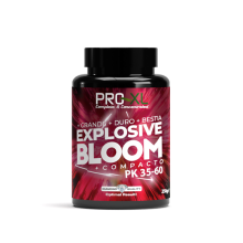 Explosive Bloom - Pro XL