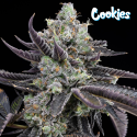 Tie Die - Cookies Seed Bank