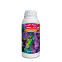 Candy Glue Explosion 250mL - Kaya Solutions