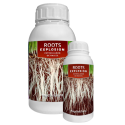 Roots Explosion - Kaya Solutions