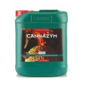 CANNAZYM-enzymas-