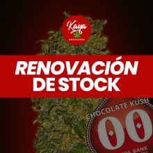 Chocolate Kush - 00 Seeds - Renovación de Stock