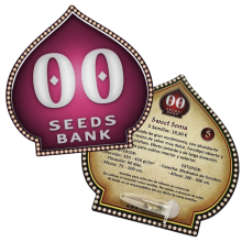 Sweet Soma - 00 Seeds - Renovación de Stock