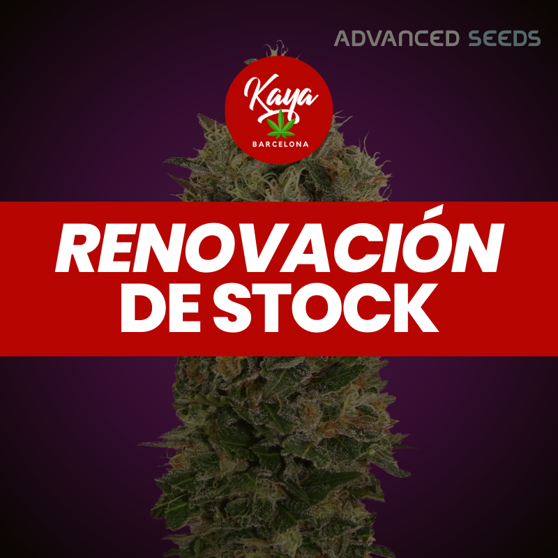 Auto Black Diesel - Advanced Seeds - Renovación de Stock