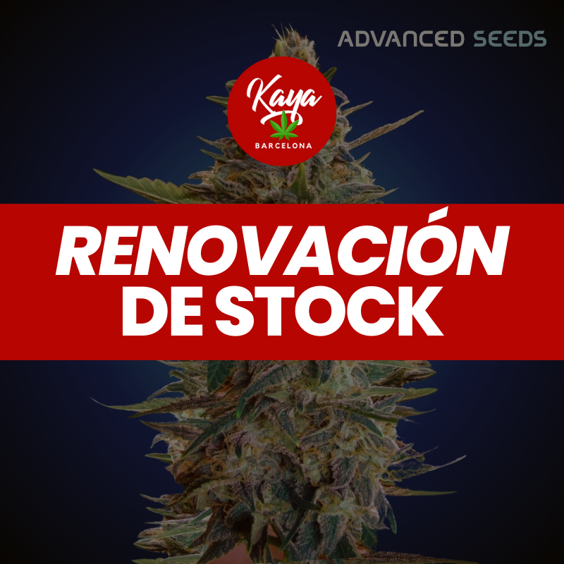 Auto Blue Diesel - Advanced Seeds - Renovacion de Stock