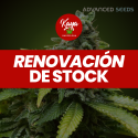 Early Widow - Advanced Seeds - Renovación de Stock