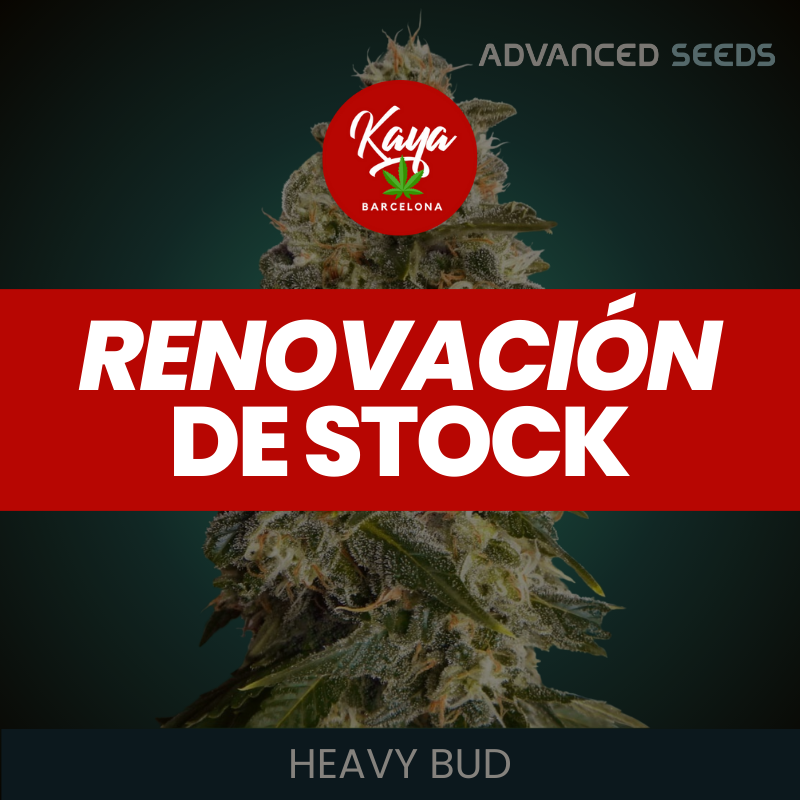 Heavy Bud - Advanced Seeds - Renovacion de Stock