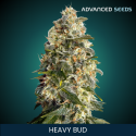 Heavy Bud - Advanced Seeds - Renovacion de Stock