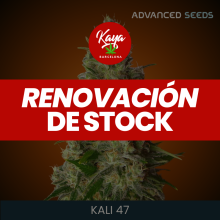 Kali 47 - Advanced Seeds - Renovacion de Stock