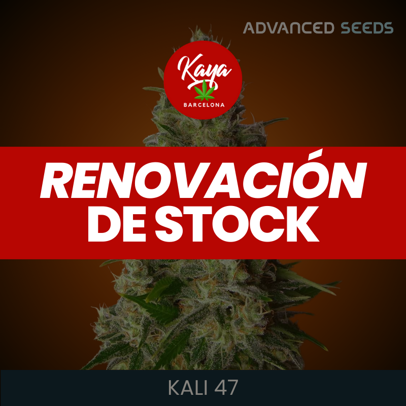 Kali 47 - Advanced Seeds - Stock Renewal