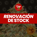 Auto CBD Lemon Potion - Barney's Farm - Renovación de Stock