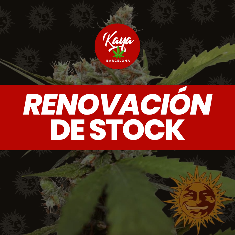 CBD Blue Shark - Barney's Farm - Renovación de Stock