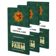 CBD Critical Cure - Barney's Farm - Renovación de Stock