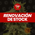 CBD Critical Cure - Barney's Farm - Renovación de Stock