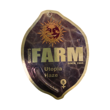 Utopia Haze - Barney's Farm - Stock Renewal