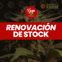 Violator Kush - Barney's Farm - Renovación de Stock