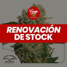 Brainstorm - Dutch Passion - Renovacion de Stock