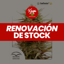 CBD ComPassion - Dutch Passion - Renovación de Stock