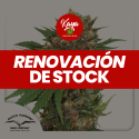 Master Kush - Dutch Passion - Renovación de Stock