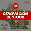 OutLaw Amneisa - Dutch Passion - Renovación de Stock