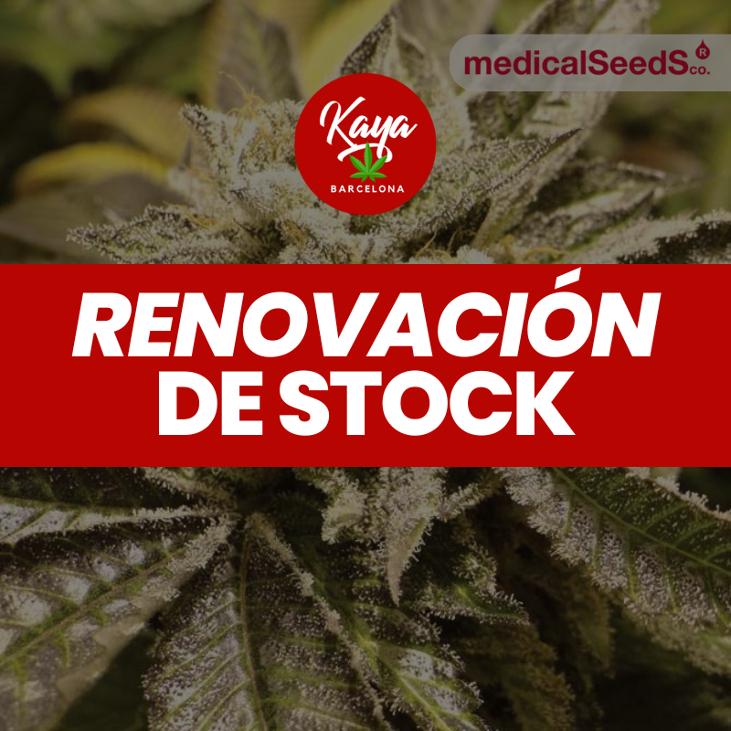 Canadian Kush - Medical Seeds - Renovación de Stock