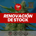 Auto NYC Diesel - Sweet Seeds - Renovación de Stock