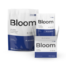 Pro Bloom - Athena