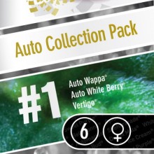 Auto Colección Pack 1 - Paradise Seeds