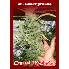 Crystal METH fem - Dr. Underground