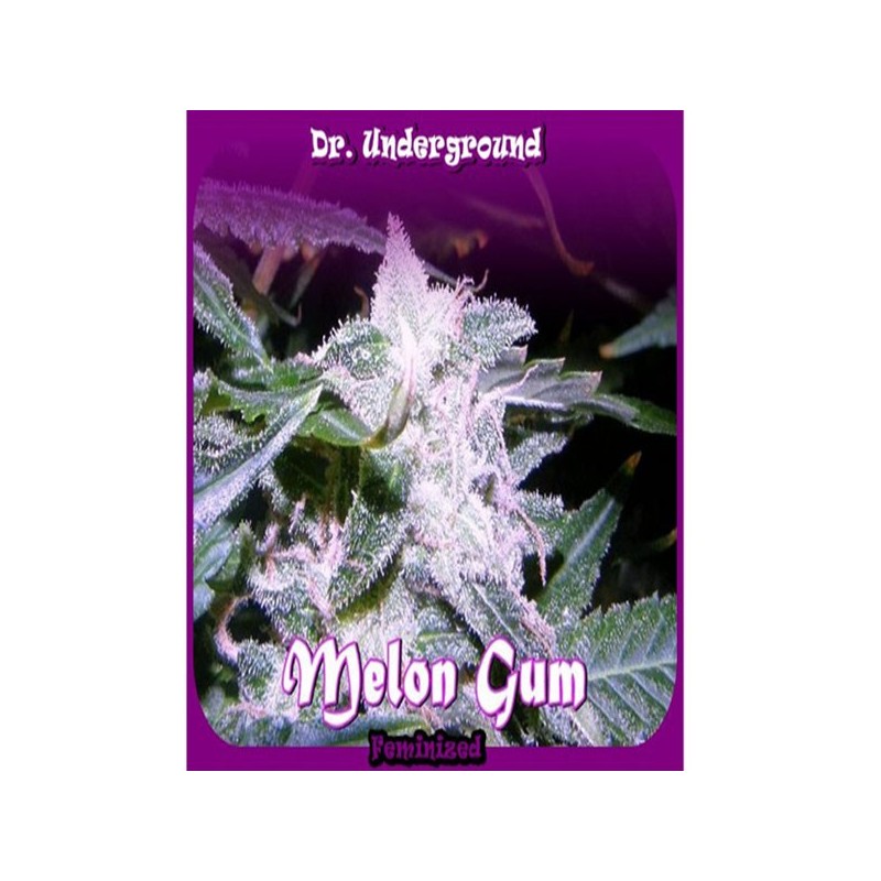 Melon Gum fem - Dr. Underground