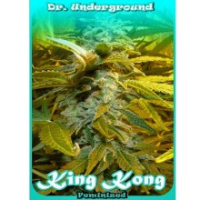 King Kong fem - Dr. Underground