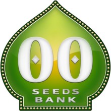Sweet Critical - 00 Seeds