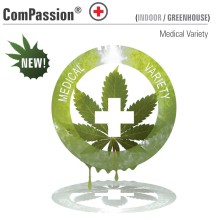 CBD ComPassion fem - Dutch Passion
