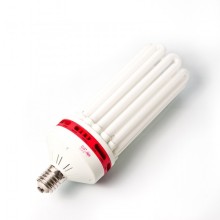 Bulb CFL Dual - Pure Light