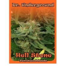Hell Stone fem - Dr. Underground