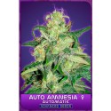 Amnesia auto - Advanced Seeds