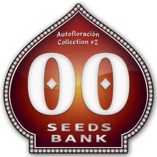 Colección Automáticas nº2 - 00 Seeds